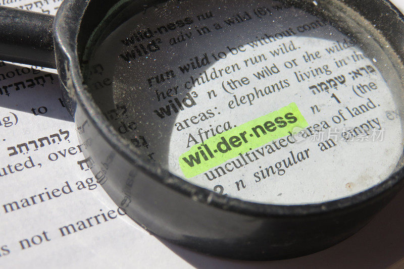 Wilderness -字典定义